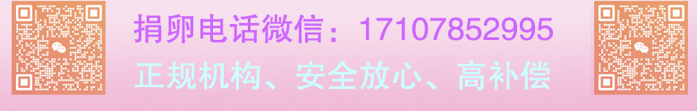 联系我们-99贵宾客服电话17508888884